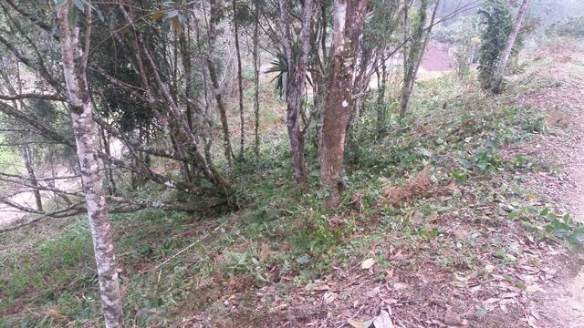 Terreno parcelado alto gasparinho - leia o anúncio - Foto 9