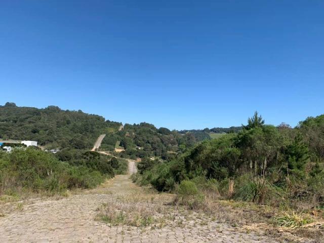 Caxias do Sul - Terreno - Parada Cristal - Foto 4