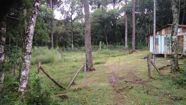 Chácara em São Mateus do Sul - Foto 6