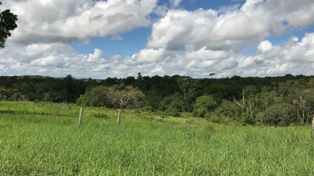 Vendo propriedade em Alagoinhas/Ba - Foto 3