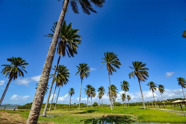 Condomínio Costa de Itapema, lotes próximo a Feira de Santana, em Santo Amaro - Foto 5