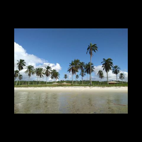 Casas de praia, Lotes para construção costa de Itapema - Foto 8