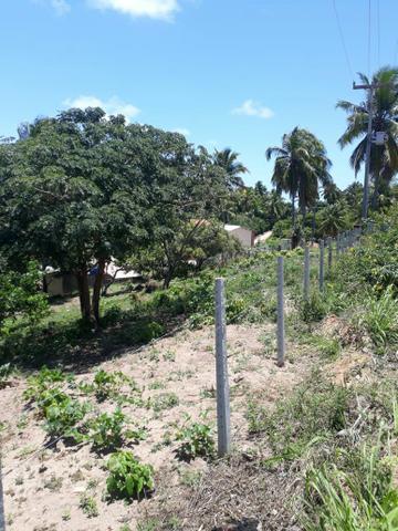Terreno lindo em Japaratinga, proximo a praia e as bicas 950 m2 - Foto 3
