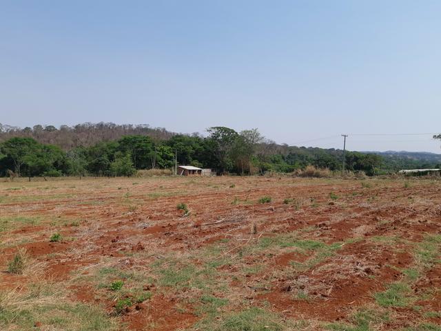 Chacaras em Goiania prox ao Orlando de Morais e Paraiso Tropical - Foto 2