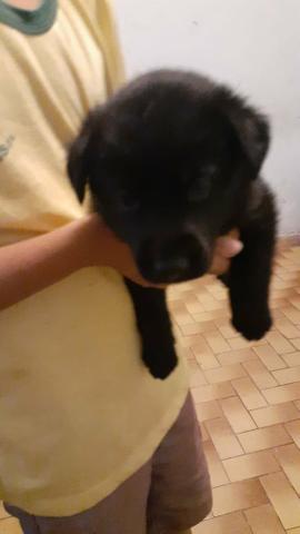 Vende se - Foto 3