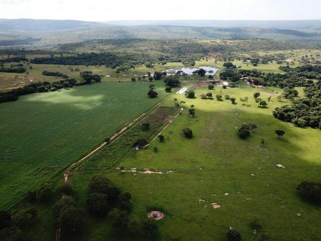 Fazenda dupla aptidão Arinos MG