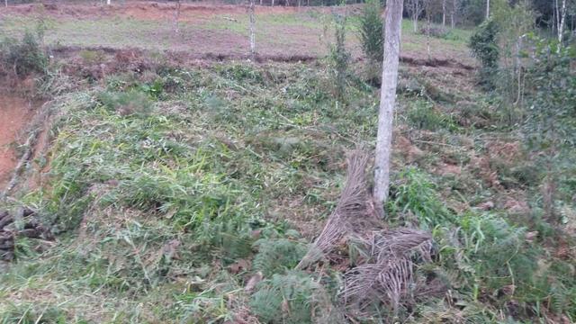 Terreno parcelado alto gasparinho - leia o anúncio - Foto 16