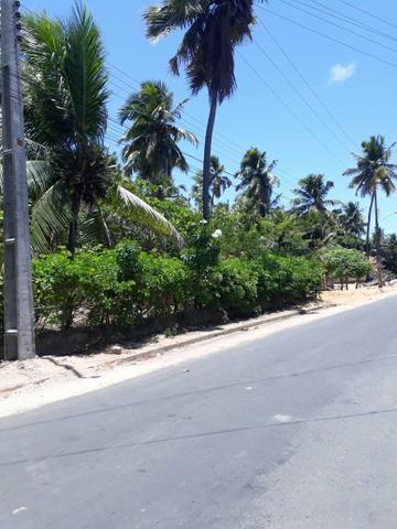Terreno lindo em Japaratinga, proximo a praia e as bicas 950 m2 - Foto 6