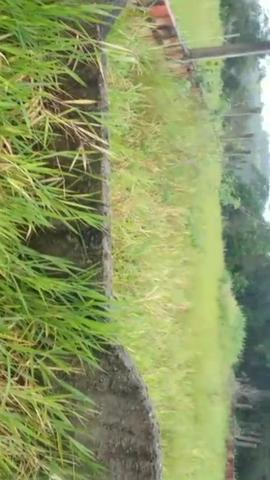 Terreno no pov.Quebrada do lado do Park timbo! - Foto 4