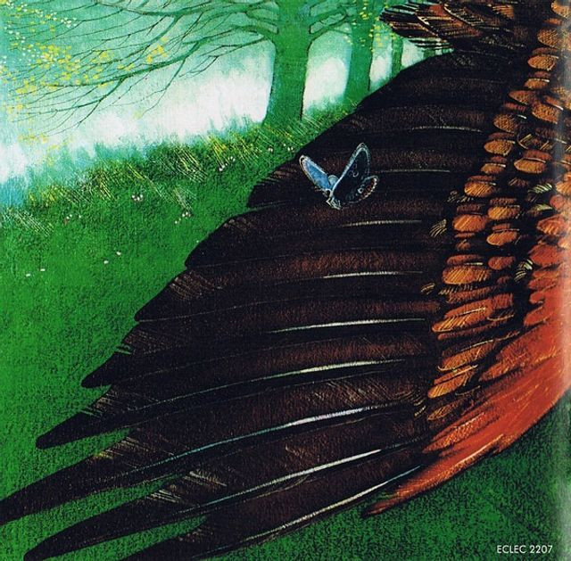 Fields - Fields - Foto 5