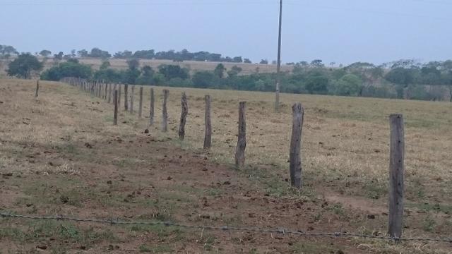 Fazenda para lavoura de 44 alqueires a venda na região de Caldas Novas GO - Foto 5