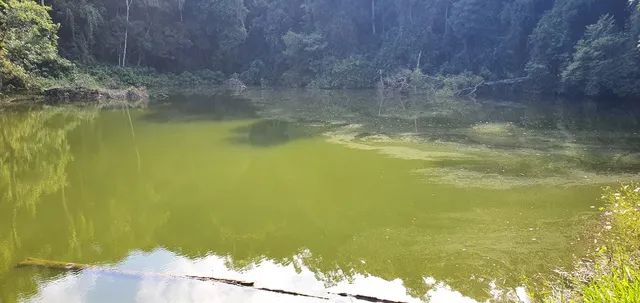 Excelente terreno em Piedade - Foto 9