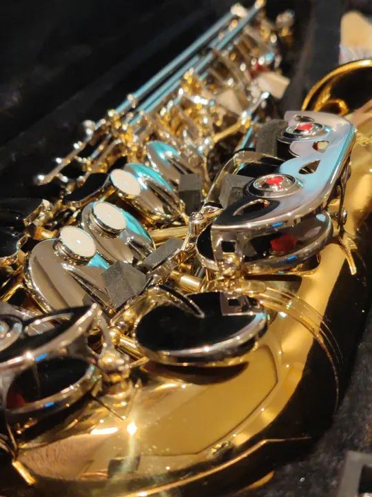 Sax Alto Novo Garantia 12 Meses Fundo Musical Ensaio Regional - Foto 2