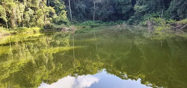 Excelente terreno em Piedade - Foto 13