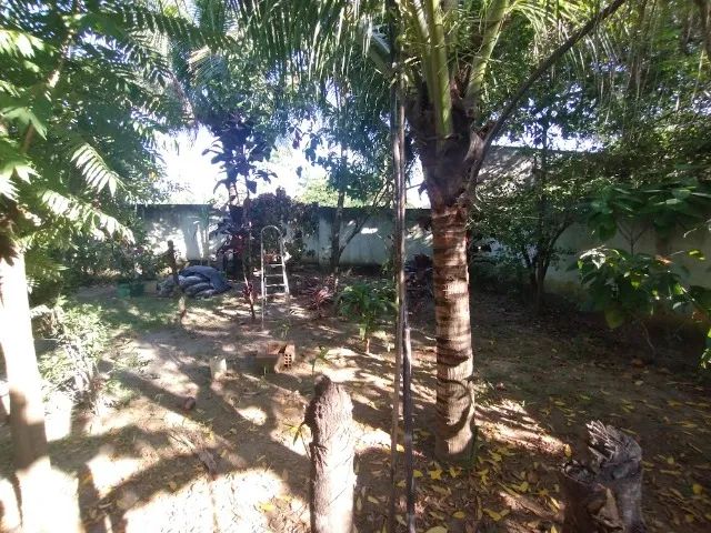 Casa Morro Cavado, Mato Alto, a 5 minutos de Campo Grande, local dos Sítios e Fazendas - Foto 6