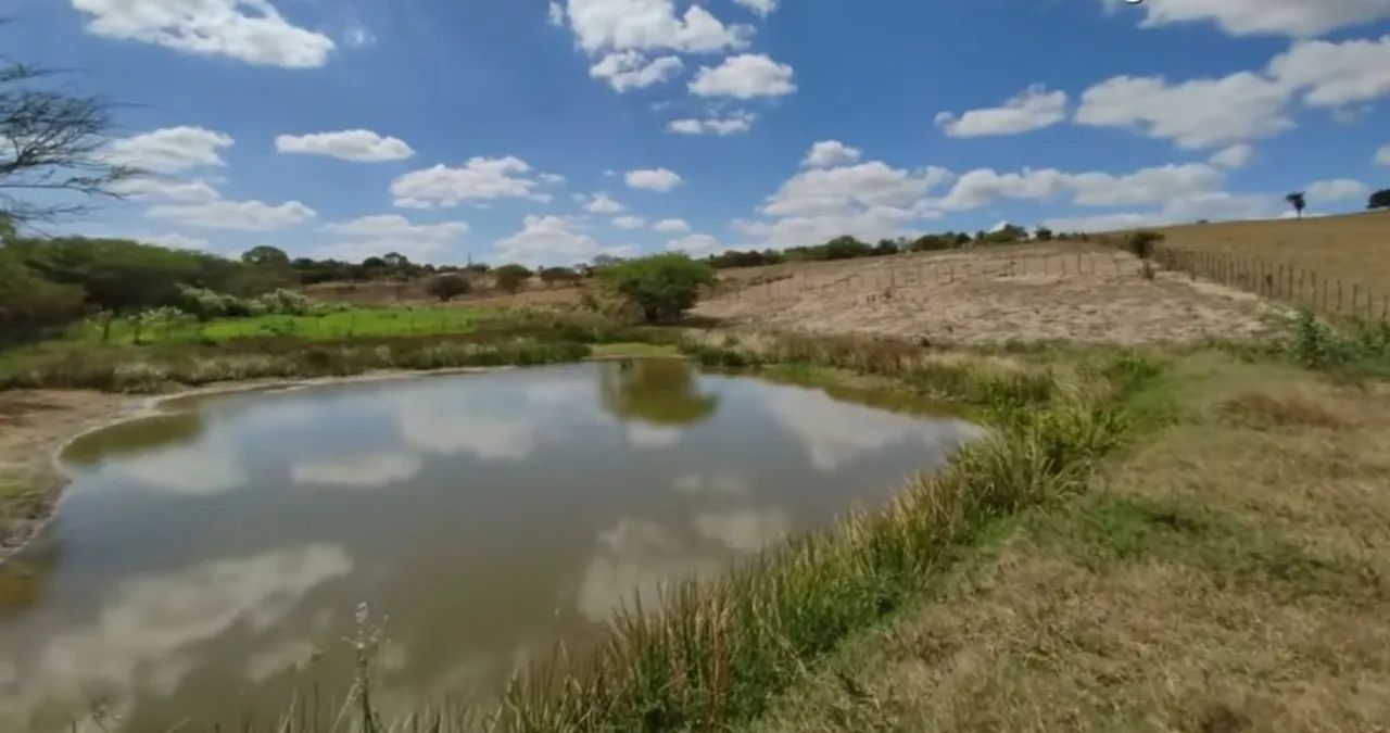 Vendo Sítio de porteira fechada c/Casa, Pomar, Nascente e Área Verde. - Foto 2