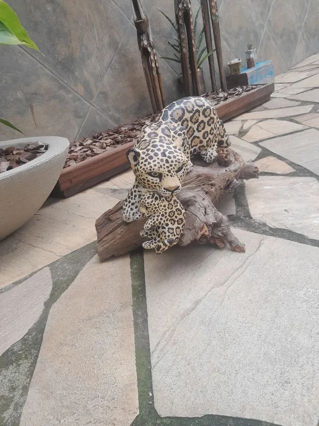 Onça com filhote antiga  - Foto 2