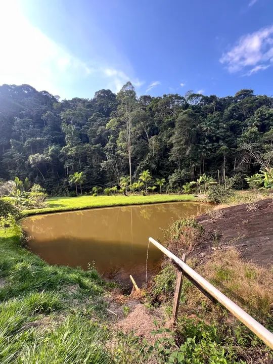 Sítio em Bom Jesus - Domingos Martins | Escriturado e Registrado | 20.000m2 - Foto 3