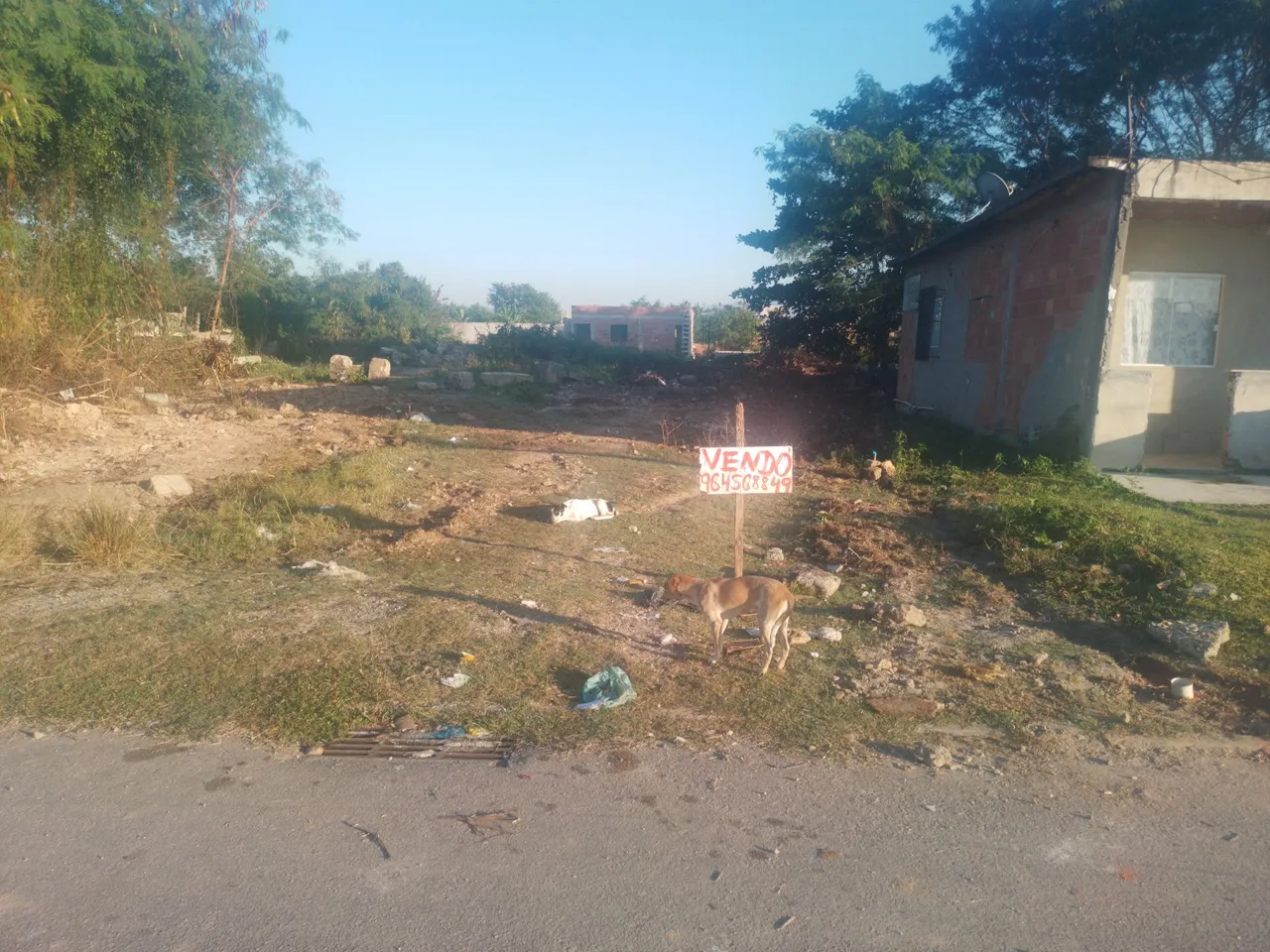 Abaixeiii!!! De 80mil pra 60mil avista! Terreno sao bento caxias! Pra sai logo!