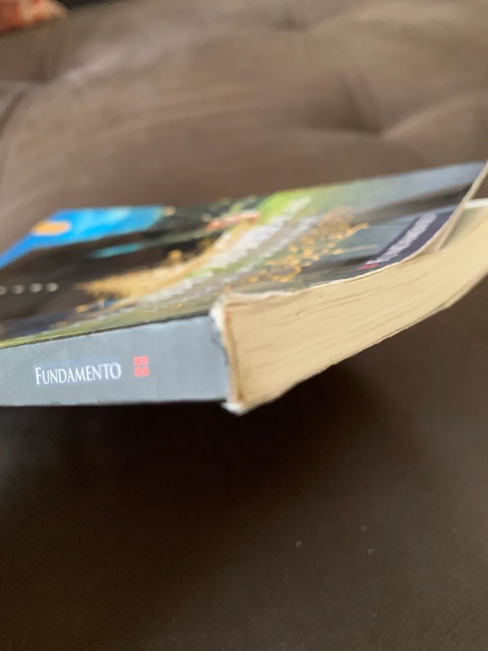 Livro Tomando as rédeas  - Foto 4
