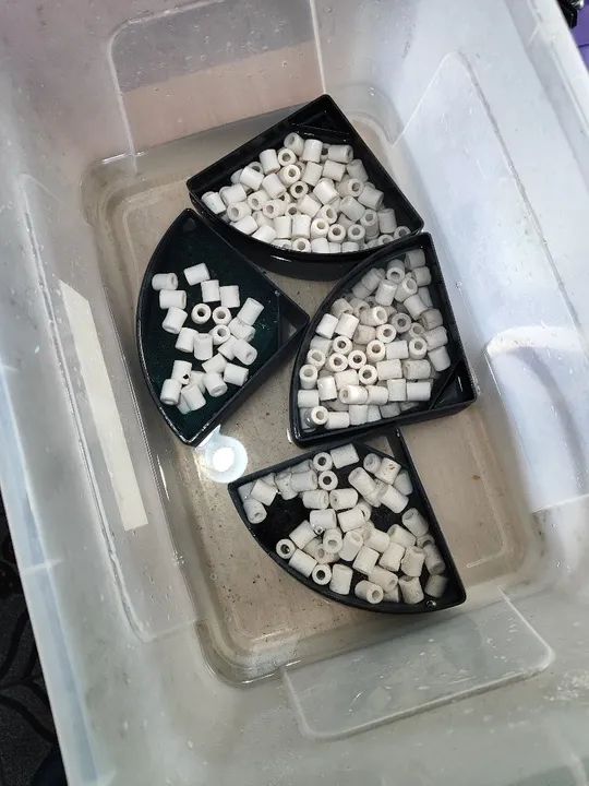 Aquário completo  - Foto 5