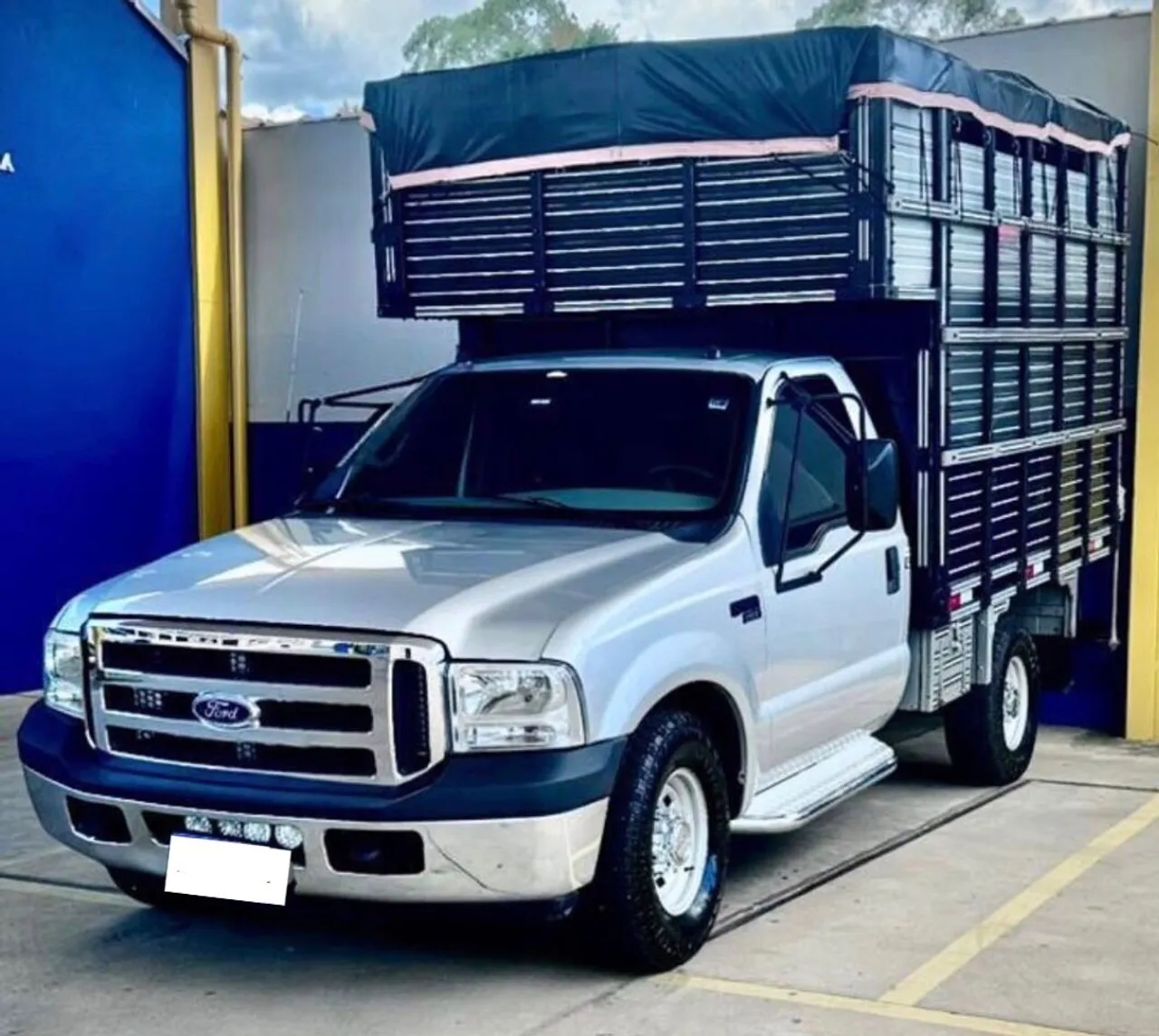 Ford F-250 /boiadeira /2010