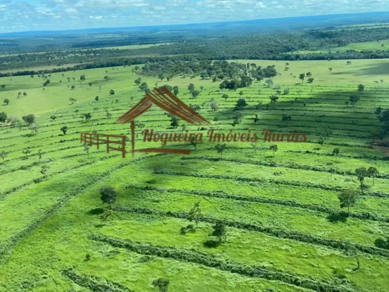 Fazenda à venda em Alcinópolis MS