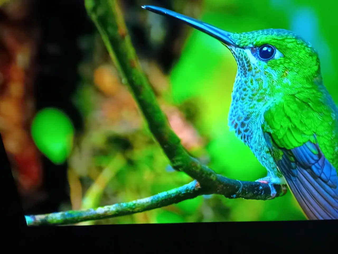 Smart TV LG com sistema operacional WebOS - Foto 4