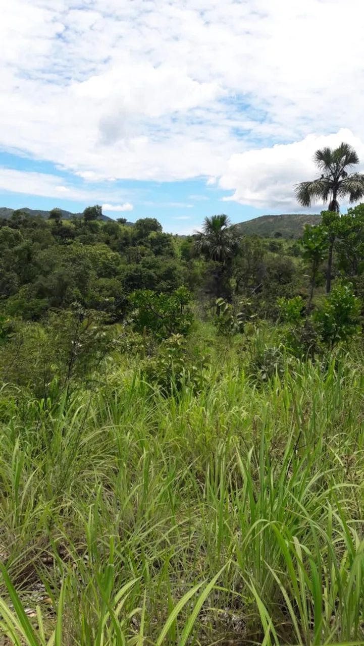 FAZENDA 43,5 ALQ  - Foto 9