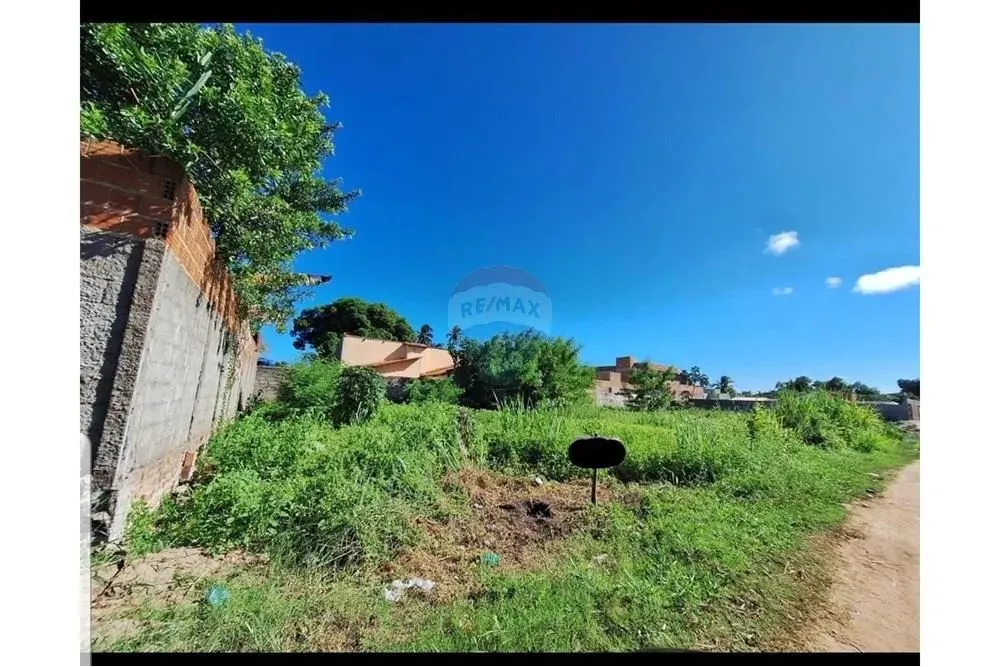 Terreno Imperdível em Mucuri, Alagoas!