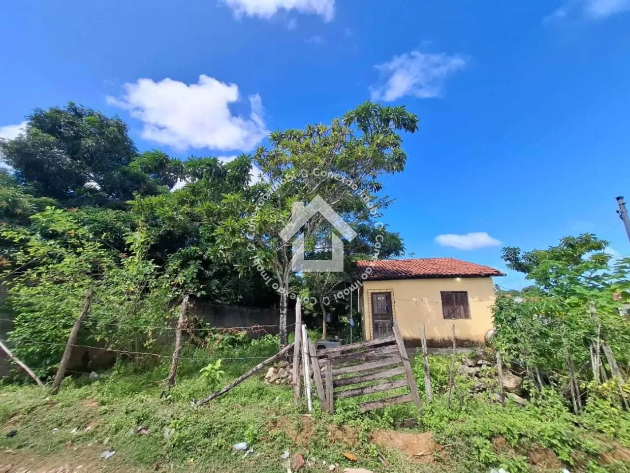 Terreno no Bairro Santa Maria + - Foto 3