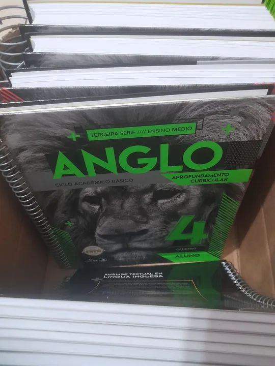 Apostila 3° Ensino Medio 4 Bimestre - Escola de Negócios de Direitos - Foto 6