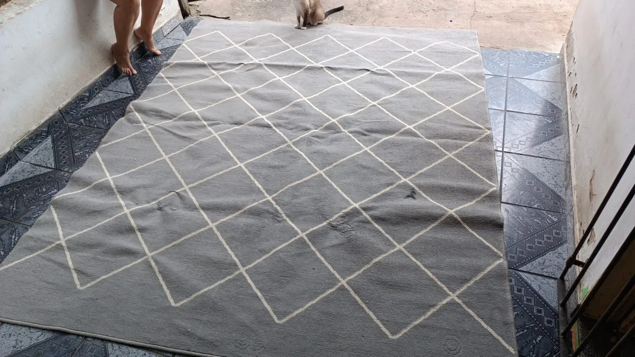 Tapete cinza com padrão geométrico