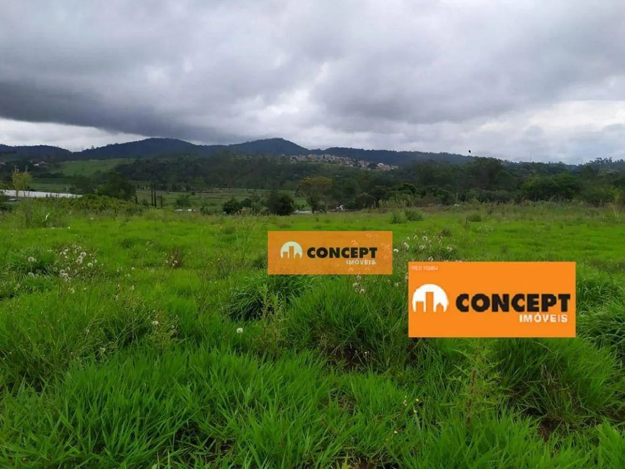 Área à venda, 20093 m² por R$ 1.900.000,00 - Jardim Alto da Boa Vista - Suzano/SP
