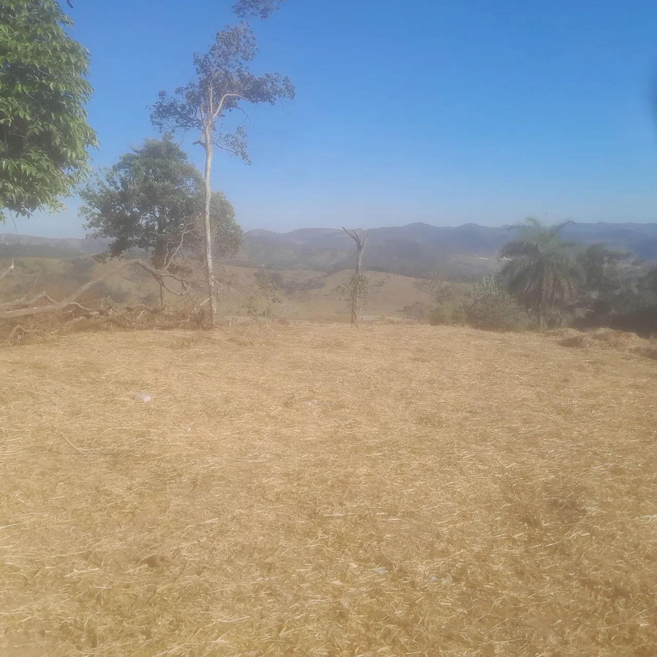 Terreno de 5 mil metros  - Foto 2