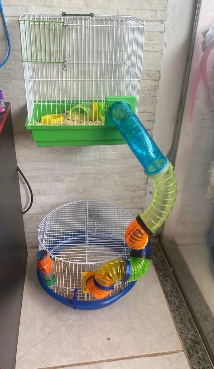 Vendo gaiola com 2 Hamster sírio fêmea  - Foto 5