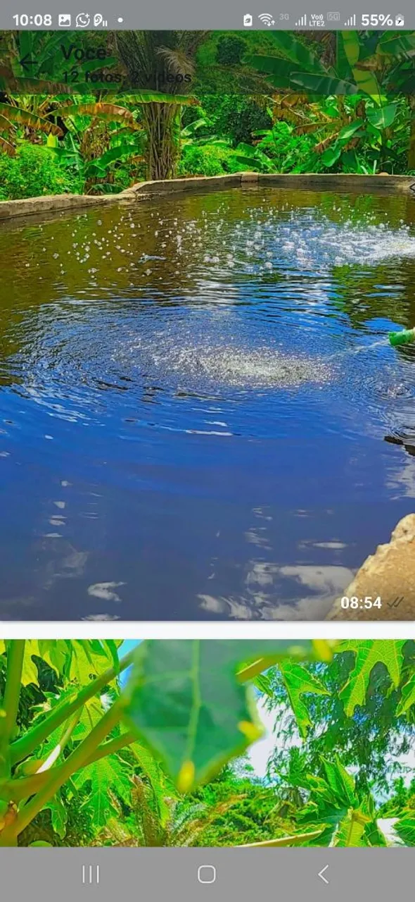 Sitio com piscina natural jazida de cristal, casa simples, Nanuque-MG, troco por bens-lea