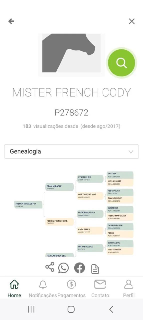 Produtos agropecuários- cavalo  - Foto 3