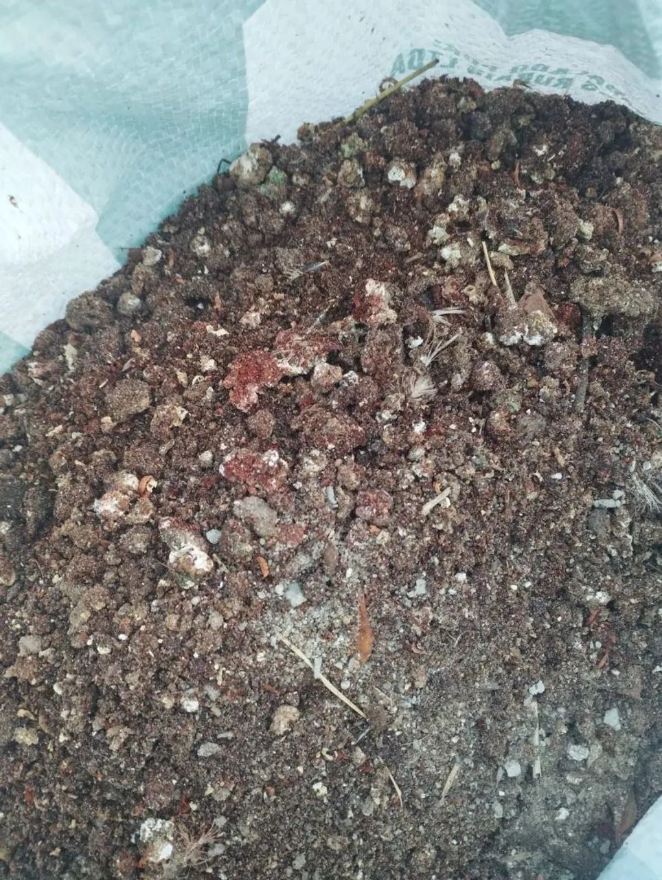 Adubo de codornas e galinha 