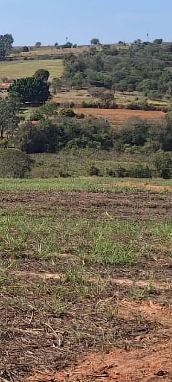 Sítio de 20.000 metros em Artur Nogueira  - Foto 4