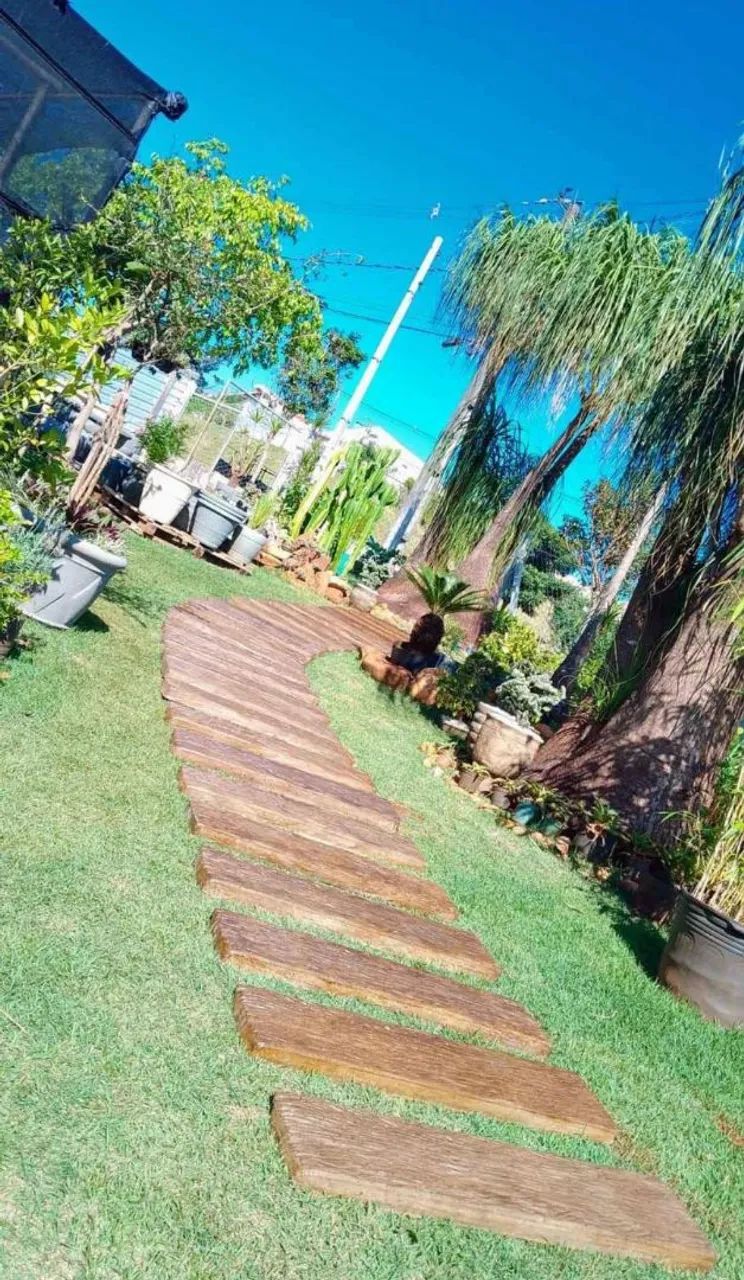 Vasos  e floreiras de plantas de diversos tamanhos e modelos  - Foto 6