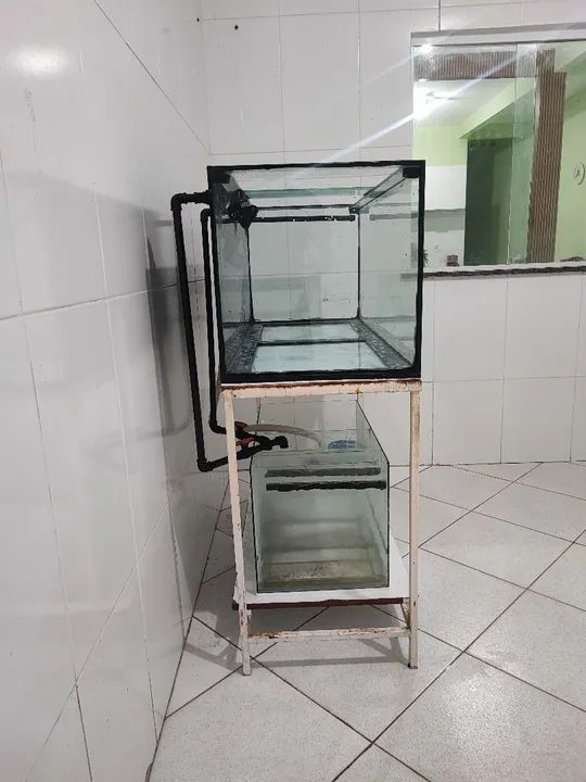 Aquário 1.20 x 50 x 50 - Foto 2