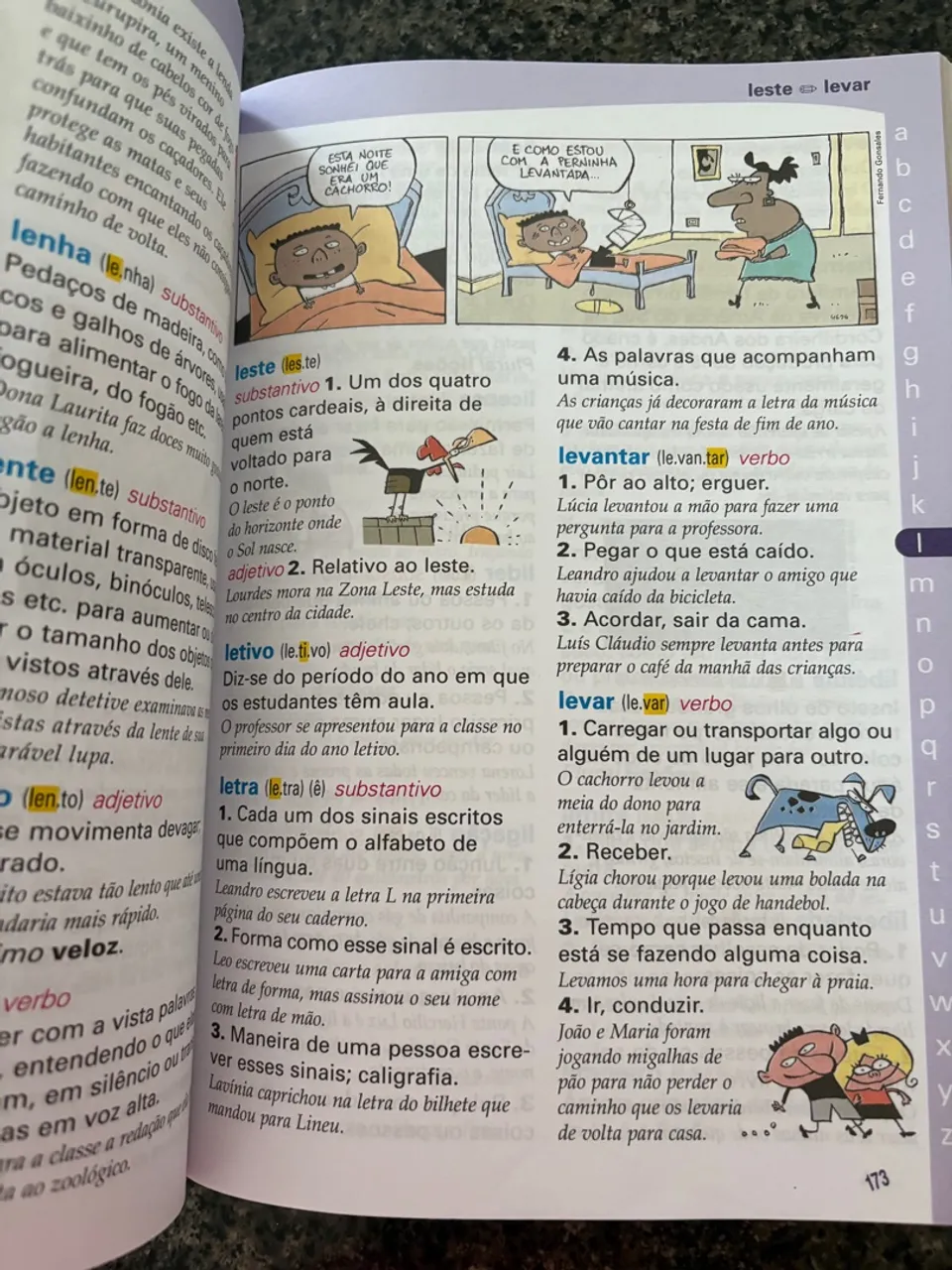 Dicionário infantil (Português)