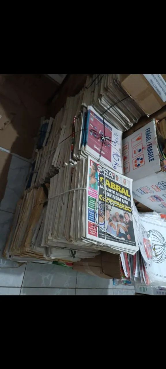 Jornal pet e doméstico outros - Foto 2