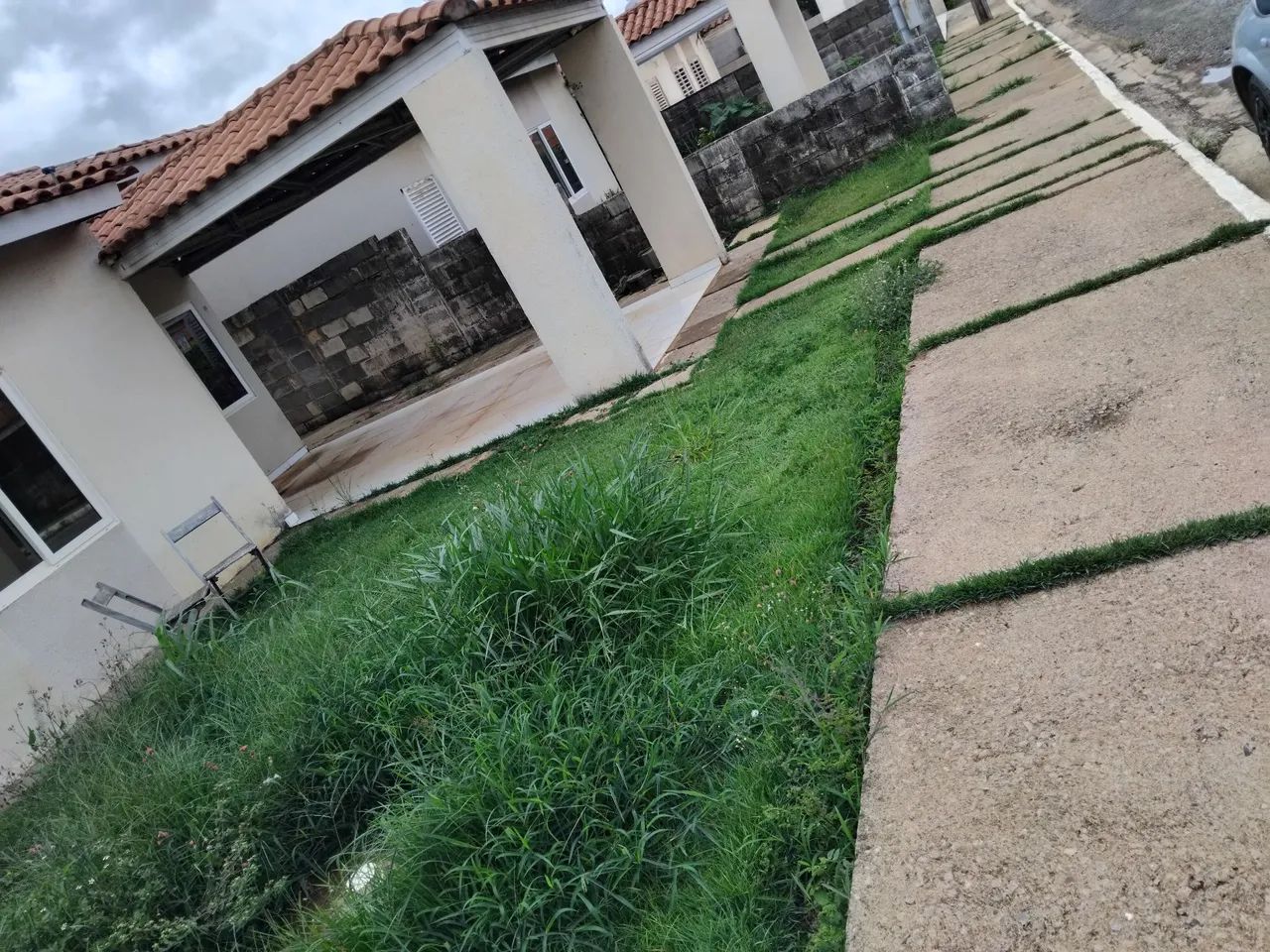 Jardineiro  - Foto 2