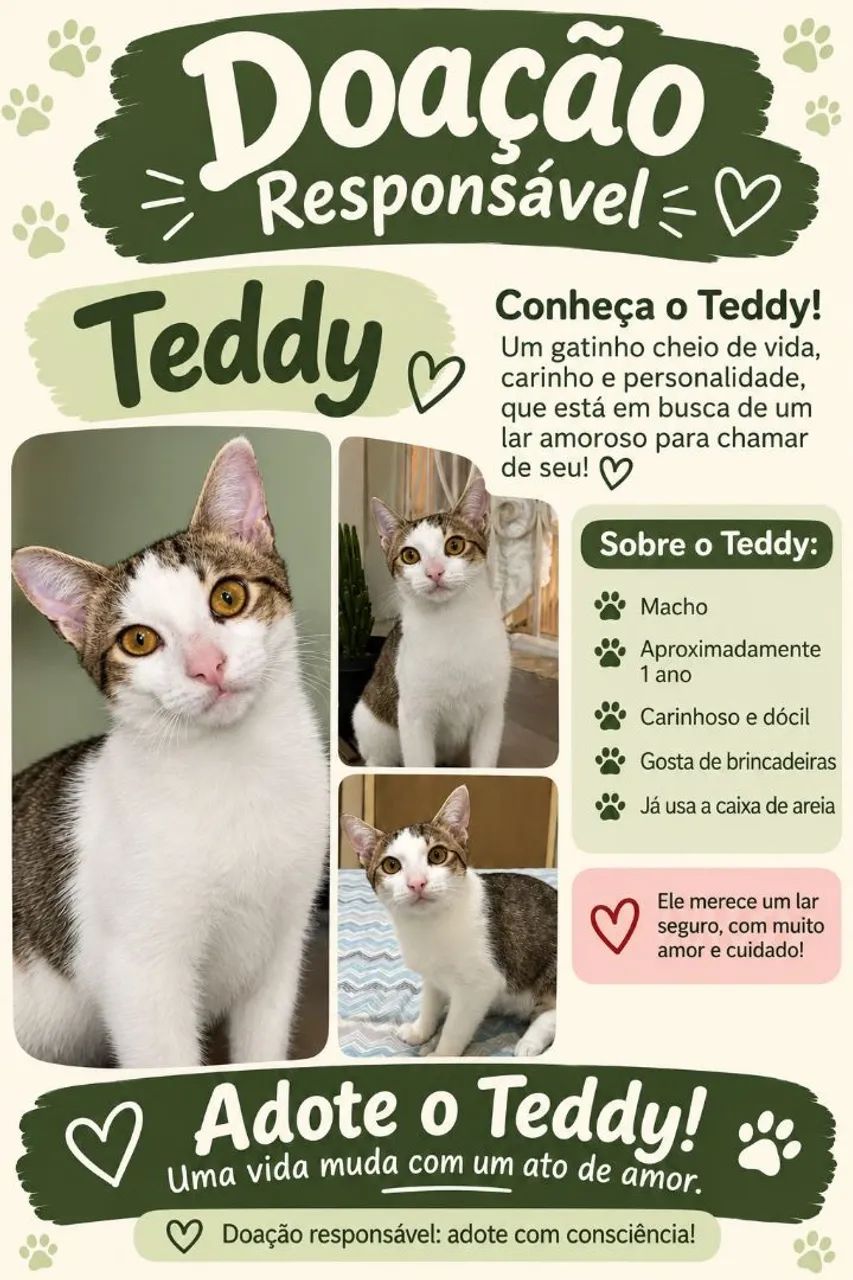 Doação de gato