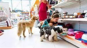Pet Shop no Bairro Assunção em São Bernardo do Campo - Foto 2