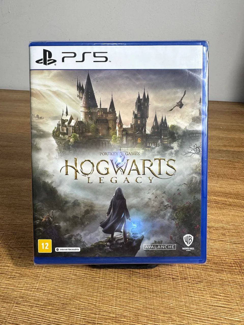 Hogwarts legacy ps5 lacrado 