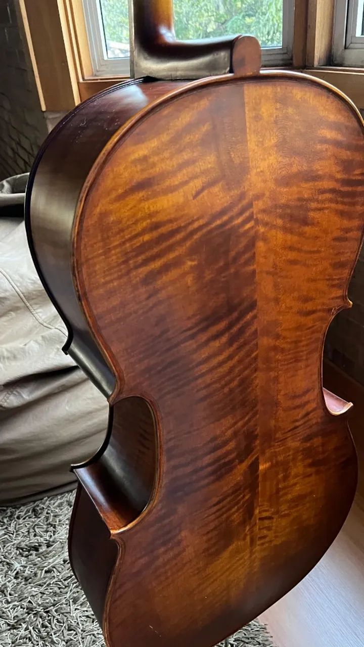 Violoncelo Eagle CE300 4/4 - Foto 4