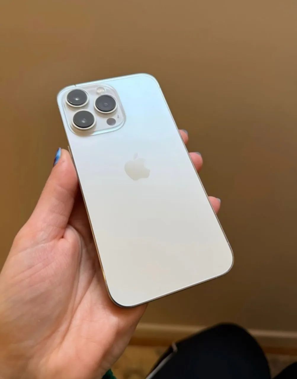 iPhone 13 Pro Max 256gb